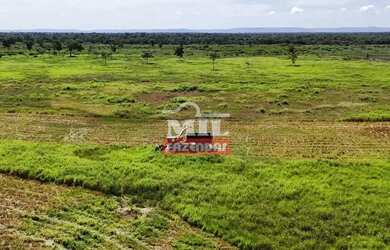 Imagem 3: Fazenda 303 Alqueires 1.469 Hectares Flores De Goiás - Go