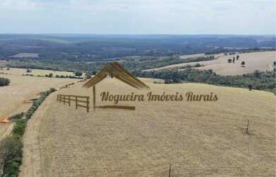 Imagem 13: Excelente fazenda de alto padrão a venda em Capão Bonito-SP