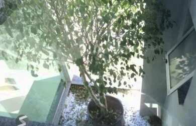 Imagem 11: Casa para Venda - 160m², 3 dormitórios, sendo 1 suites, 2 vagas - Lagos...