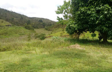 Imagem: Fazenda - Pasto para alugar