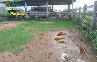 Imagem: A fazenda possui 392004000m² de Área e está localizado em