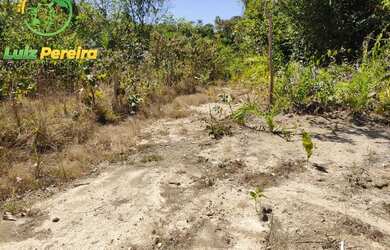 Imagem 14: FAZENDA À VENDA NO VALE DO ARAGUAIA - TO 150.04 HECTARES DUPLA APTIDÃO