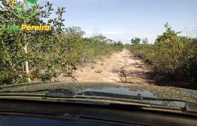 Imagem: A fazenda possui 102.040.000m² de Área e está localizado