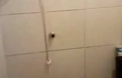 Imagem: A casa possui 1 Dormitório e 1 Banheiro e está localizado