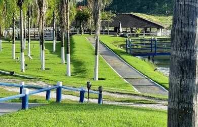 Imagem 11: Fazenda de 650 alqueires em colinas do sul de goias 55 milhões