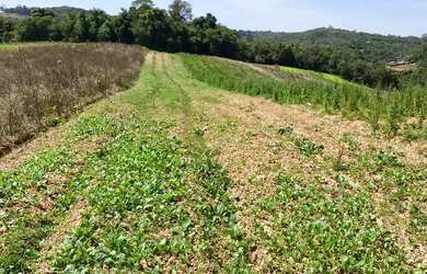 Imagem: Terreno em Ibiúna, 500m2 apenas 19.999 à vista!!