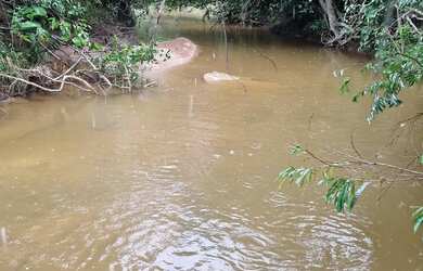 Imagem 13: Fazenda 158 hectares valor 1.120.000