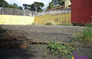 Imagem 11: TERRENO - ALTO DA LAPA - SP