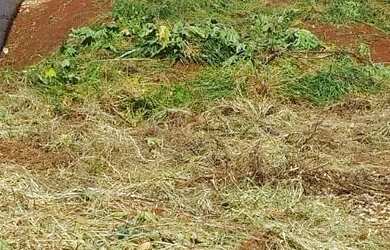 Imagem: O terreno possui 257m² de Área e está localizado em Reserva