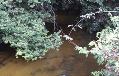 Imagem 3: Baixou preço 470 hectares na região norte do Pará por R$3 mil por hectare