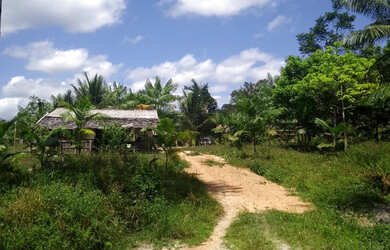 Imagem 8: Baixou preço 470 hectares na região norte do Pará por R$3 mil por hectare