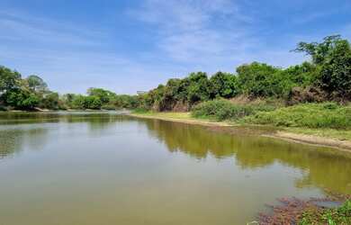 Imagem: A chácara está localizado em Riachinho, MG à venda por R$360.000
