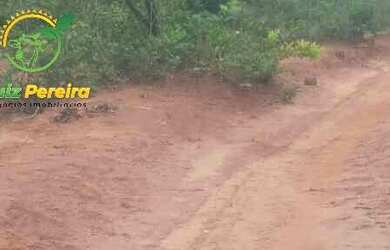 Imagem 14: FAZENDA À VENDA NO ALTO PARNAÍBA - MA DE 6.377 HECTARES Dupla Aptidão