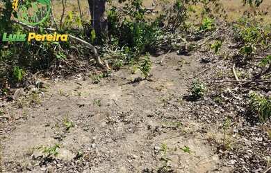 Imagem 10: FAZENDA À VENDA NO VALE DO ARAGUAIA - TO 150.04 HECTARES DUPLA APTIDÃO