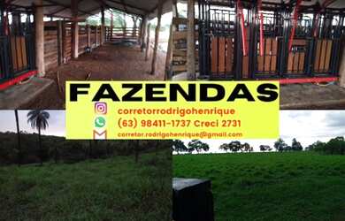 Imagem: A fazenda possui 711m² de Área e está localizado em Araguacema