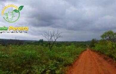 Imagem 7: FAZENDA À VENDA NO ALTO PARNAÍBA - MA DE 6.377 HECTARES Dupla Aptidão