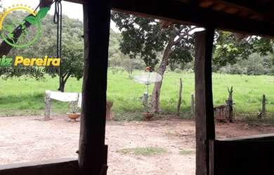 Imagem 15: FAZENDA À VENDA EM JAÚ - TO - DE 276 HECTARES PECUÁRIA