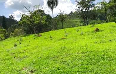 Imagem 7: Terrenos com vista para mata