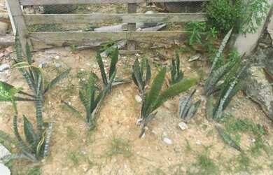 Imagem 2: Terreno e casa pra vende. 180m² de Área, 1 Vaga na garageme5 Dormitórios