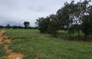 Imagem 6: Fazenda no Goiás. 416m² de Área