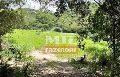 Imagem 8: Fazenda Colonial Goiás velho 34 alqueires ótima localização