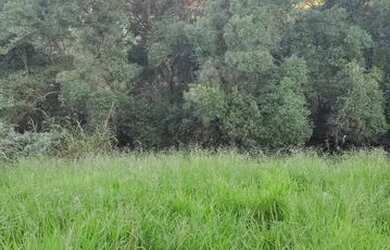 Imagem 15: Lote/Terreno para venda tem 500 metros quadrados em Usina - Atibaia -...