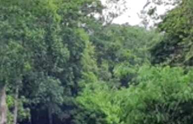 Imagem: O terreno possui 666.052m² de Área e está localizado em