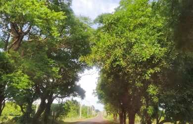 Imagem: A chácara possui 2.000m² de Área e está localizado em Miguelópolis