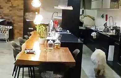 Imagem 6: Casa para venda possui com 4 quartos em Estância Alpina - Nova Lima -...