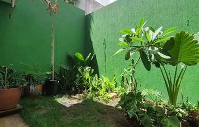 Imagem 13: Excelente casa 3/4 sendo 3 suítes em rua publica