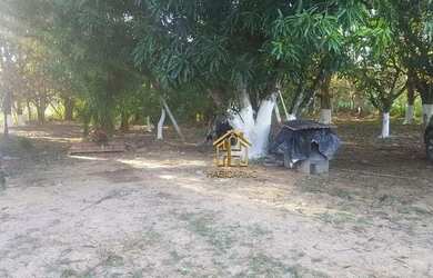 Imagem 7: Fazenda com 3 dormitórios à venda, 4888840 m² por R$ 15.800.000,00...