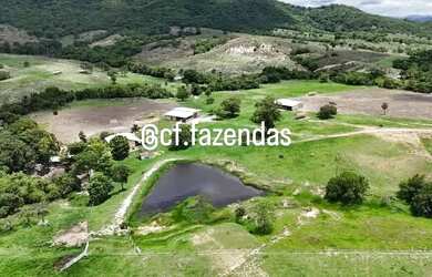 Imagem 9: Fazenda à venda em Goiás-Go