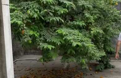 Imagem 5: PRA VENDER LIGEIRO