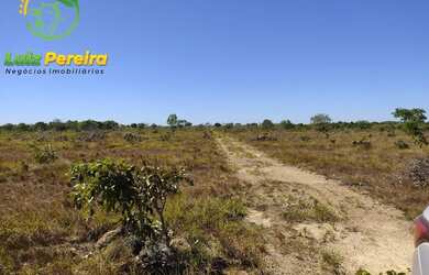 Imagem 7: FAZENDA À VENDA NO VALE DO ARAGUAIA - TO 150.04 HECTARES DUPLA APTIDÃO