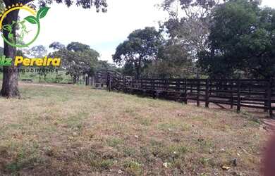 Imagem 11: FAZENDA À VENDA EM JAÚ - TO - DE 276 HECTARES PECUÁRIA