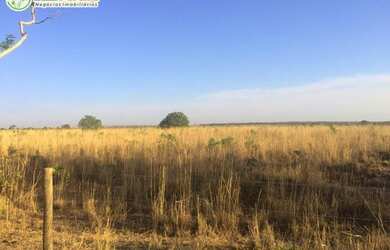 Imagem 7: FAZENDA A VENDA EM FORMOSO DO ARAGUAIA -TO - 1694 HEC (DUPLA APTIDÃO