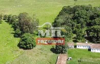 Imagem 13: Fazenda Colonial Goiás velho 34 alqueires ótima localização