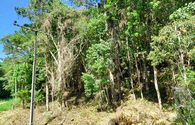 Imagem 3: Terreno 1000 m² para construir em Porto Belo 400 metros do mar