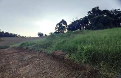 Imagem 13: Lote/Terreno para venda possui 500 metros quadrados em Vila Santista -...