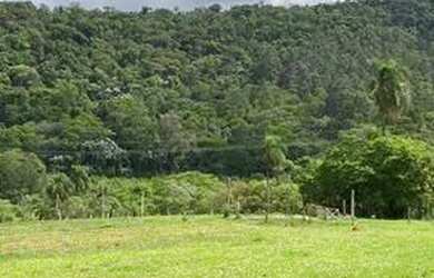 Imagem 4: Terrenos com vista para mata