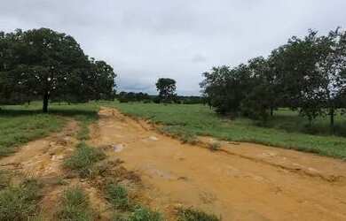 Imagem: A fazenda possui 416m² de Área e está localizado em Setor