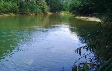 Imagem 4: Excelente fazenda com 687 hectares à venda na região de Pirapora/MG