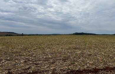 Imagem 5: Sítio de 8 alqueires na colônia nova