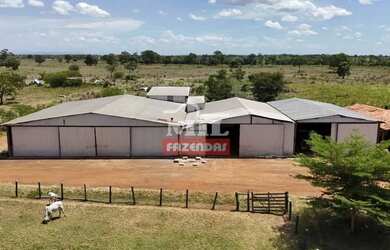 Imagem 13: Fazenda 303 Alqueires 1.469 Hectares Flores De Goiás - Go