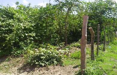 Imagem: O terreno possui 6.400m² de Área Privada e está localizado