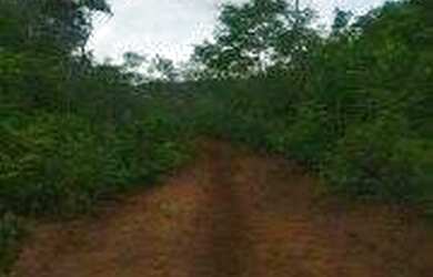 Imagem 13: FAZENDA À VENDA NO ALTO PARNAÍBA - MA DE 6.377 HECTARES Dupla Aptidão