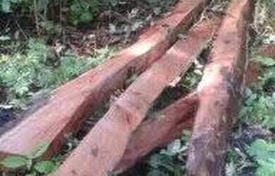 Imagem 4: FAZENDA À VENDA NO ALTO PARNAÍBA - MA DE 6.377 HECTARES Dupla Aptidão