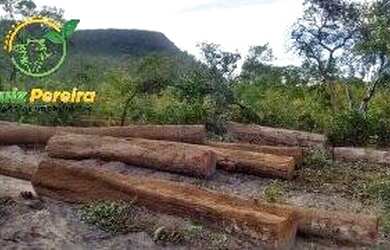 Imagem 8: FAZENDA À VENDA NO ALTO PARNAÍBA - MA DE 6.377 HECTARES Dupla Aptidão