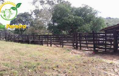 Imagem 13: FAZENDA À VENDA EM JAÚ - TO - DE 276 HECTARES PECUÁRIA