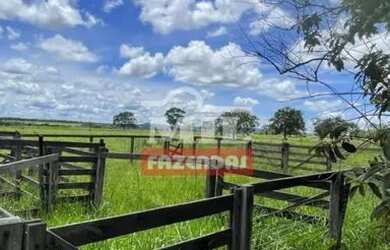 Imagem 16: Fazenda Colonial Goiás velho 34 alqueires ótima localização